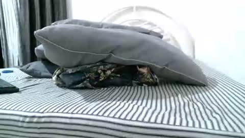 iam_mistress_dominatrix online show from 18, 4, 2026