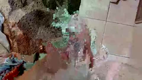 iamlove369 online show from 12, 3, 2026