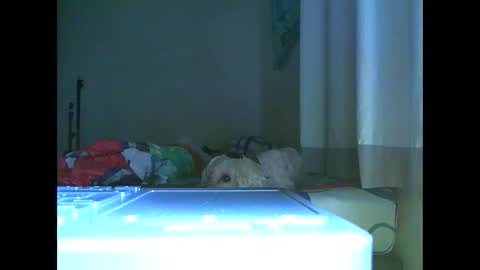 Ian is back my loves online show from 7, 11, 2025