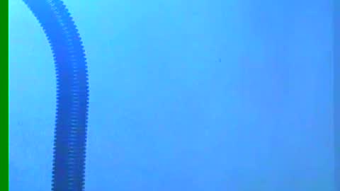Snapshot of ian_zaenzz chatting on 18, 12, 2024 Samuel igsamuelnoguera 1333 online show from 18, 12, 2024
