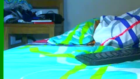 Snapshot of ian_zaenzz chatting on 28, 12, 2024 Samuel igsamuelnoguera 1333 online show from 28, 12, 2024