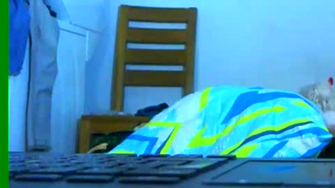 Snapshot of ian_zaenzz chatting on 26, 1, 2025 Samuel igsamuelnoguera 1333 online show from 26, 1, 2025