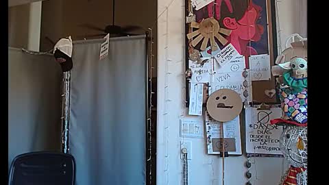 PMS online show from 29, 12, 2024