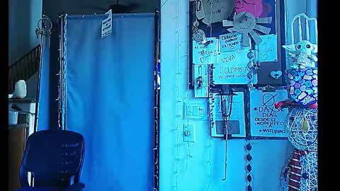 PMS online show from 31, 12, 2024