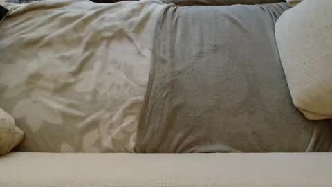 Snapshot of ich_hh chatting on 24, 1, 2025 SnowTiger online show from 24, 1, 2025