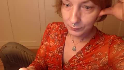 Ifk Donkeys online show from 6, 11, 2025