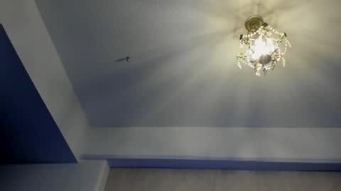 Snapshot of igor_scott chatting on 23, 12, 2024 Igor scott online show from 23, 12, 2024