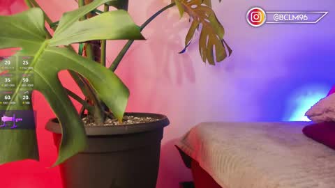 Bryan online show from 12, 2, 2025