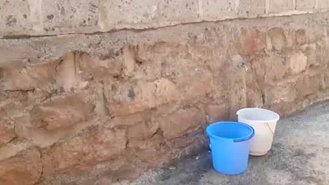 immissv online show from 1, 12, 2025