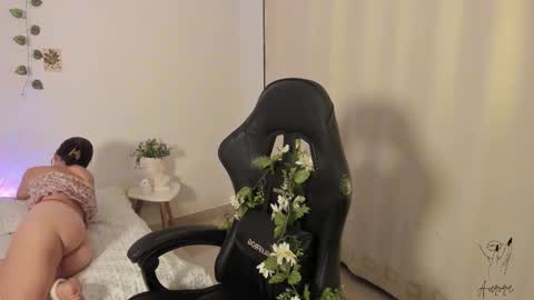 Snapshot of imsrbatman chatting on 17, 11, 2025 Aurora online show from 17, 11, 2025