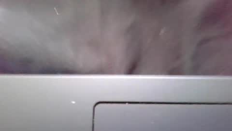 imstillstrokin online show from 22, 10, 2025