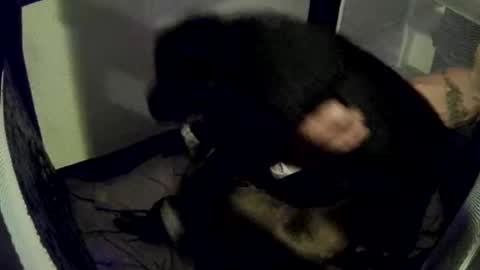 imtru online show from 14, 2, 2025