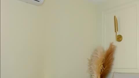 imvictoria_ online show from 29, 11, 2025