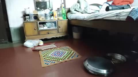 Snapshot of indianjhonnysins chatting on 12, 3, 2026 BOREDILDO online show from 12, 3, 2026