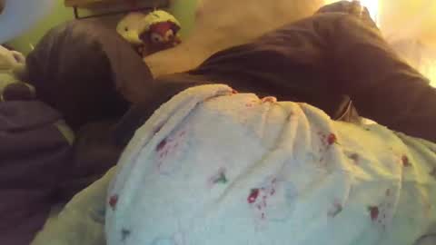 indigo_scorpio online show from 28, 11, 2025