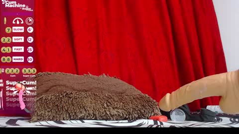 Indi  online show from 20, 12, 2024