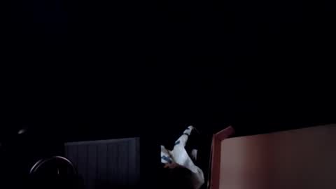 Snapshot of info_chat chatting on 24, 2, 2026 sir. Grummps online show from 24, 2, 2026