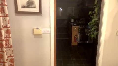 Snapshot of inkpiggy chatting on 20, 2, 2026 inkpiggy online show from 20, 2, 2026