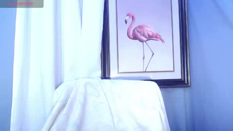 calvin online show from 18, 4, 2026