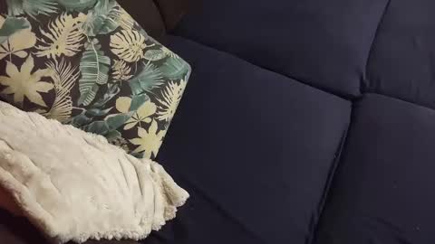 Snapshot of intersidereal chatting on 23, 12, 2024 Marek online show from 23, 12, 2024