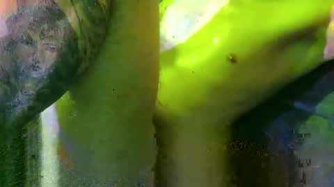 Snapshot of intersidereal chatting on 2, 3, 2025 Marek online show from 2, 3, 2025