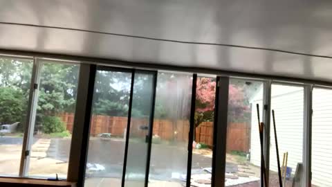 IntoTheWoodsWeGo online show from 30, 10, 2025