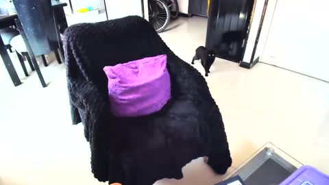 Snapshot of irinastephann chatting on 15, 2, 2025 irina online show from 15, 2, 2025