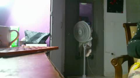 Snapshot of irisbell_ chatting on 22, 12, 2024 Camilla online show from 22, 12, 2024