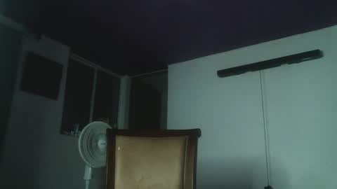 Snapshot of irisbell_ chatting on 5, 1, 2025 Camilla online show from 5, 1, 2025