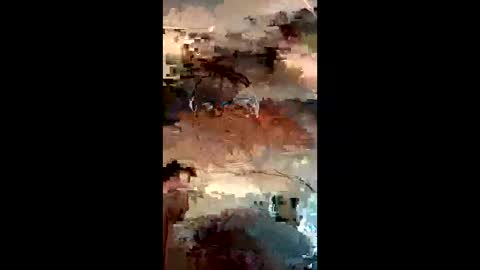 irishcock0317 online show from 22, 3, 2026