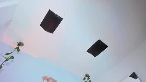   online show from 12, 11, 2025