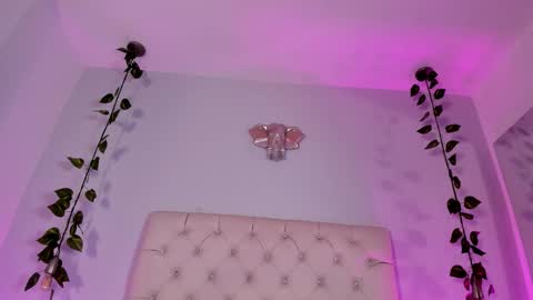   online show from 18, 11, 2025