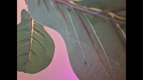 Snapshot of isabellacloverlove chatting on 18, 9, 2025 Isabella online show from 18, 9, 2025