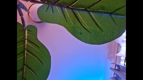 Snapshot of isabellacloverlove chatting on 23, 10, 2025 Isabella online show from 23, 10, 2025