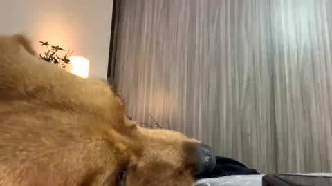 Snapshot of isabelprietoo chatting on 7, 10, 2025 Isa online show from 7, 10, 2025