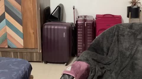 Raje online show from 4, 10, 2025