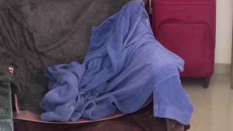 Raje online show from 5, 10, 2025