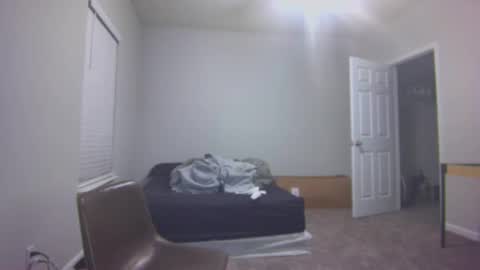 TARZAN online show from 21, 12, 2024