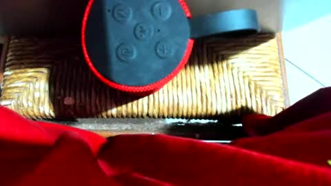 ivanaskats online show from 17, 12, 2024