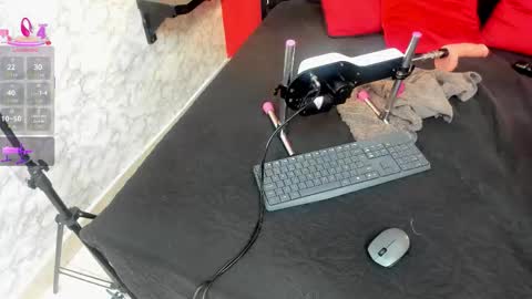 Ivis  online show from 19, 12, 2025