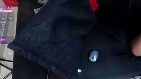 Ivis  online show from 24, 2, 2026