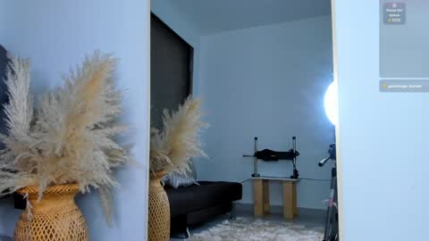 Snapshot of ivy_li chatting on 14, 1, 2025 Daniela online show from 14, 1, 2025