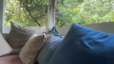 ivysagex online show from 12, 9, 2025