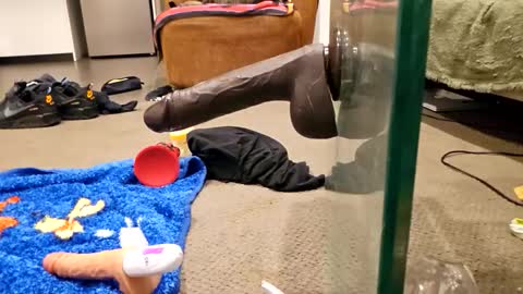 j220231 online show from 4, 12, 2025