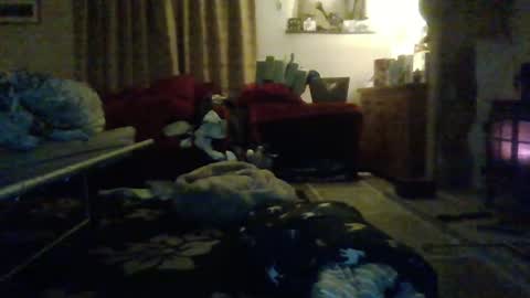 Snapshot of j4ckcock chatting on 1, 1, 2025 J4ckcock online show from 1, 1, 2025