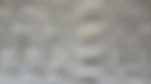 Snapshot of j727551 chatting on 15, 2, 2025 j727551 online show from 15, 2, 2025