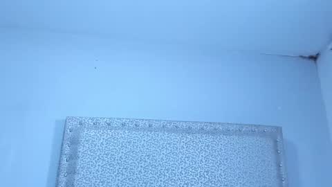 Snapshot of jackblanco_ chatting on 25, 1, 2025 Jack White online show from 25, 1, 2025