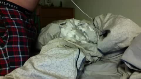 Jackbnibbled online show from 4, 2, 2025