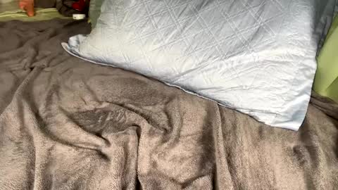 jacksbunnys online show from 14, 1, 2025