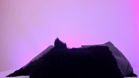 Mady online show from 20, 12, 2024